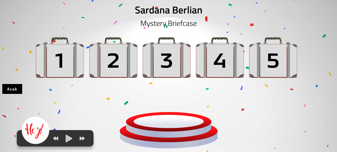 Mystery Briefcase
